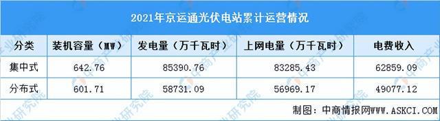 2022年中国光伏发电行业市场前景及研究报告（简版）亚美体育 亚美官网(图10)