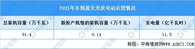 2022年中国光伏发电行业市场前景及研究报告（简版）亚美体育 亚美官网(图14)