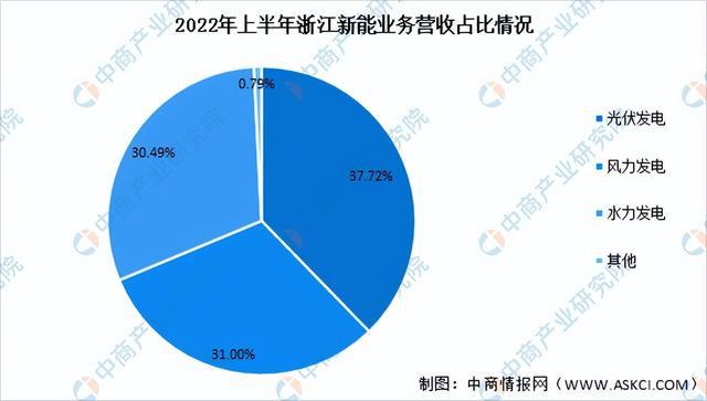 2022年中国光伏发电行业市场前景及研究报告（简版）亚美体育 亚美官网(图16)