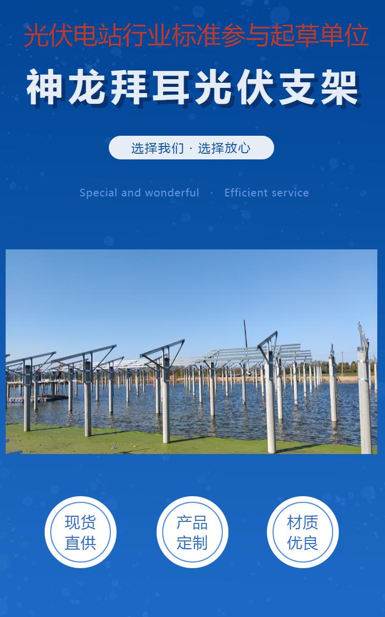 亚美体育 亚美平台光伏支架 生产厂家-搜了网(图2)