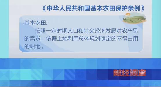 亚美体育 亚美平台央视曝光！高标准农田长出光伏板当地稻谷亩产大跌→(图6)