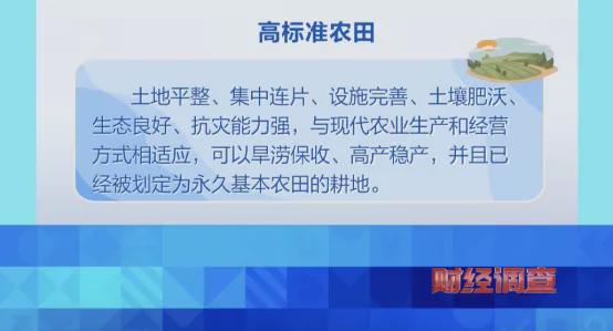 亚美体育 亚美平台央视曝光！高标准农田长出光伏板当地稻谷亩产大跌→(图10)