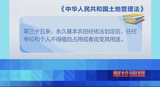 亚美体育 亚美平台央视曝光！高标准农田长出光伏板当地稻谷亩产大跌→(图11)