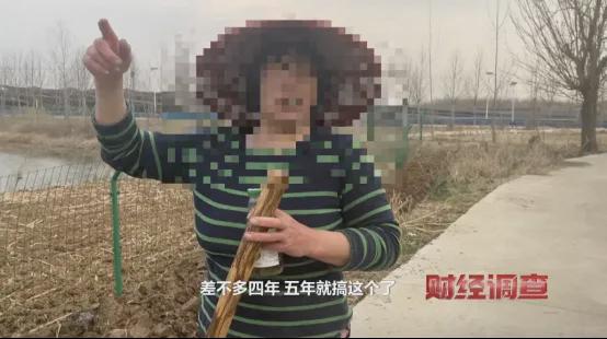 亚美体育 亚美平台央视曝光！高标准农田长出光伏板当地稻谷亩产大跌→(图12)